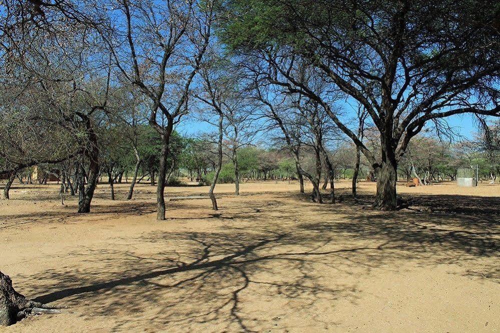 Harnas Wildlife Foundation Gobabis Екстер'єр фото